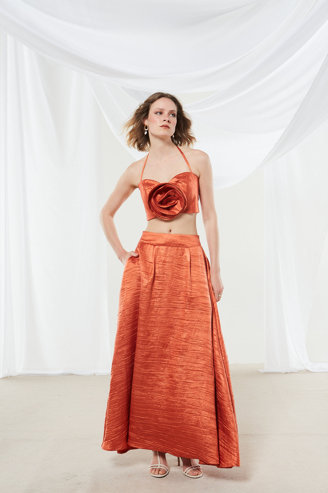 Zinnia rust orange flower top